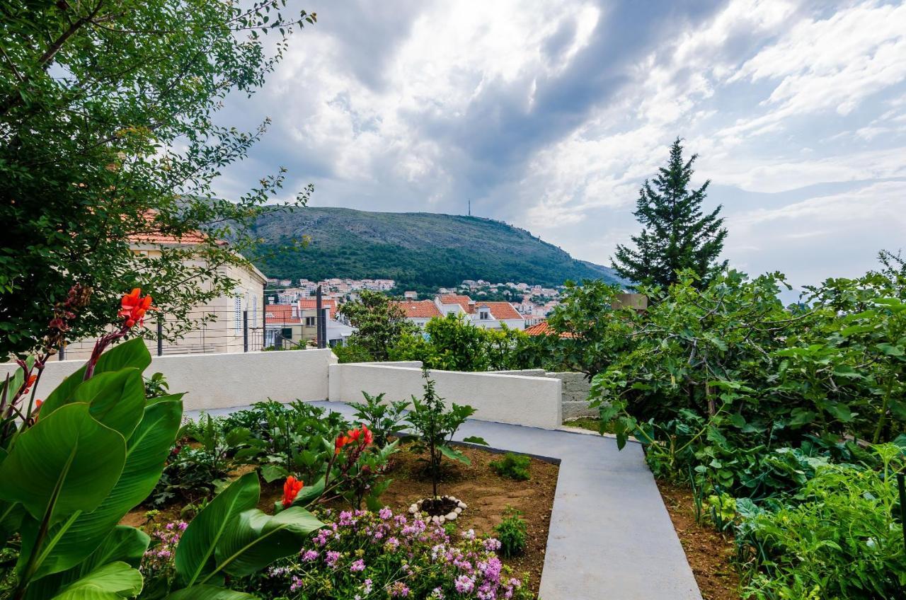 Monica Apartment Dubrovnik
